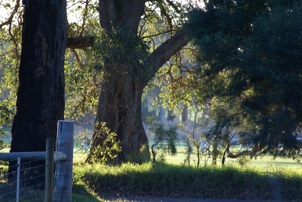 Ellensbrook Cottages Cowaramup ภายนอก รูปภาพ